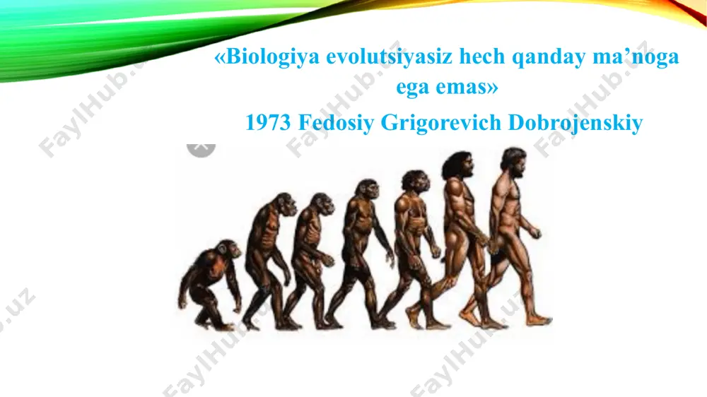 arlz darvin zamonaviy odamning tizimli kelib chiqish holati ko;p hujayralilar xordalilar tipi umrtqalilar yo’ldoshlilar primatlar turkumi odamsimon-lar sinfi odamlar oilasi (gominnidlar) odam turkumi uquvli odam turi uquvli odam turining uquvlisi hayvonot olami sutemizuv-chilar sinfi parapitek driopitek ramapitik avstrolopitek arxantrop paleantrop neonant-rop maymun-lar avstrolopiteklarning ajdodi sharqiy afrikada 4,5-6,5 mln yil oldin topilgan.tishlari hozirgi odamlarnikiga o’xshash bo’lib , bosh miyasining hajmi 500 sm3,tanasining og’irligi 33-55 kg. tik yurishga moslashgan qadimgi odam -uquvli odam o’zlaridan qurol qoldirishi bilan bog’liq.bo’yi 150 sm;bosh miyasining hajmi 100 sm3. qadimgi odam-neondertal.miya qutisining hajmi 1400 sm3,har xil qurollar yasashgan,nutqi rivojlanishini boshlagan.hozirgi odamning anatomik tipi-kramanon-neoantrop. bo’yi 180sm,miyasining hajmi 1600 sm3,miya qismi shakli yuz qismiga nisbatan katta. antropogenezning harakatlanuvchi kuchlari sotsiologik faktorlar biologik faktorlar odam irqlari azolar evolyutsiyasi a’zolar evolyutsion o’zgarishlarini o’rganish anomaliyalar, rudumentlar, atavizmlarni tushunishga a’zolarni rekonstruk-siyalashda optimal variyatlarni topishga odam va hayvonot olami orasidagi bog’lanishlarni o’rganishga imkon beradi evolyutsion morfologiya o’z ichiga oladi solishtirma anatomiyani solishtirma embriologiyani paleontolo-giyani …