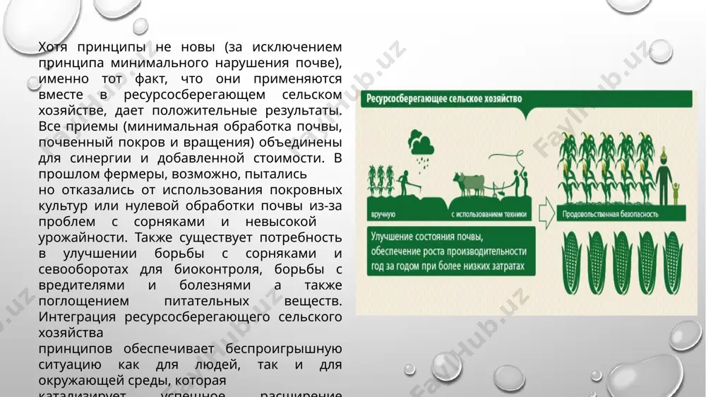 ользование и управление почвой и растительностью (лал, 2005) (рис. 23). преобразование природные экосистемы (например, леса, пастбища и водно-болотные угодья) для использования в сельском хозяйстве, а непрерывный сбор растительного сырья, привело к значительным потерям растительной биомассы и тем самым повышение уровня со2 в атмосфере. в частности, практика сжигания сельскохозяйственных полей перед возделыванием губительное воздействие на содержание органический углерод почвы. на рис. 24 показано снижение органического углерод почвы на сельскохозяйственных полях после 100 лет сжигании пожнивных остатков и сорняков по сравнению с площадью, которая не была сожжена или вспахана в тот же период. верхний слой почвы слой (0–5 см) представлял наибольшую долю углерода. потери (36 процентов) по сравнению с площадью, не был сожжен. запас почвенного азота в том же слое сократился на 16 процентов. углеродный запас уменьшалось не только за счет сжигания, но и из-за всего управления землепользованием, особенно резкое сокращение разнообразия видов, особенно если высаживалась монокультура почва может быть поглотителем или …