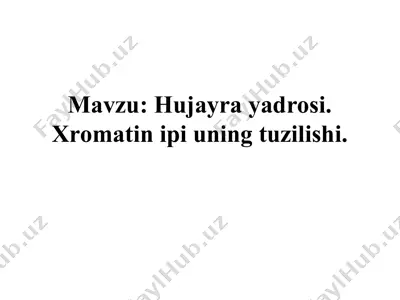 hujayra yadrosi — PPT