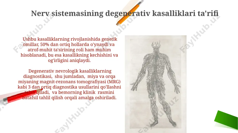 muddati esa bir necha haftadan bir necha oygacha davom etishi mumkin. gematoensefalik to'siq buzilishi gematoentsefalik to'siq buzilishi miya va orqa miya atrofidagi himoya qatlamidagi shikastlanishni anglatadi va bu 100 dan ortiq turli kasalliklarga olib kelishi mumkin, shu jumladan, yallig'lanish jarayonlari va infektsiyalar. buzilgan gematoentsefalik to'siq oqsil va toksinlarning miya va orqa miyaga o'tishiga imkon beradi, bu esa neyrodegenerativ kasalliklar rivojlanish xavfini 30% ga oshiradi. huntington xoreyasi huntington xoreyasi autosomal dominant tarzda meros boʻlib oʻtadi, ya'ni faqat bitta mutatsiyaga uchragan gen kasallikni keltirib chiqarishi mumkin, va merosxoʻrlarning 50% ehtimol bilan kasallanishi mumkin. kasallikning progressiv tabiati tufayli bemorlarda harakatlarning buzilishi, kognitiv funksiyalar pasayishi va psixiatrik alomatlar, masalan, depressiya kuzatiladi. neyropatiyalar neyropatiyalar turli xil sabablarga, jumladan, diabet (taxminan 60% hollarda), genetik mutatsiyalar va toksik moddalar ta'siriga bog'liq bo'lib, nerv tolalarining shikastlanishiga olib keladi. aksariyat neyropatiyalarni davolash alomatlarni yengillashtirishga qaratilgan bo'lib, taxminan 20% hollarda sababini aniqlash va davolash mumkin. e'tiboringiz uchun rahmat @taqdimot_robot image2.png …