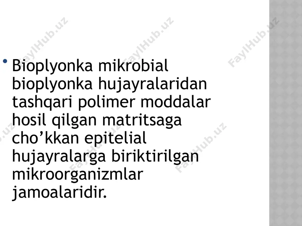 bioplyonka - Page 3