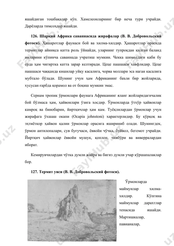 младан, шимолий африка чўлларидагига нисбатан ҳайвонлар кам. бу ерда туёқлилардан кафр буйволи (sinceros coffer), зебранинг бир тури (квагга), антилопанинг баъзи бир турлари яшайди. йиртқичлардан кама тулкиси, ер ранг бўри, виверранинг бир неча турлари характерлидир. арслонлар деярли қириб юборилган. кемирувчилар ва ҳашаротхўрларнинг баъзи бир эндемик турлари бор. ҳашаротхўрлар орасида малла кўрсичқонлар (chrysochloridae) айниқса ажойибдир. мадагаскарнинг фаунаси ўзига хос. унда эндемик турлар жуда кўп. африкада кенг тарқалган ҳайвонлардан чинакам маймунлар, йиртқичлар ва заҳарли илонлар бу ерда умуман яшамайди. мадагаскар учун лемурлар характерлидир. бу ерда лемурнинг бир неча зоти ва тури бўлиб, бу ҳайвонни бутун оролда учратиш мумкин. чунки маҳаллий аҳоли лемурларга тегмайди; баъзи бировлар лемурларни ҳатто қўлга ўргатишган: йиртқичлардан фақат виверралар учрайди. ҳашаротхўрлар кўп, булардан тенреклар эндемикдир.