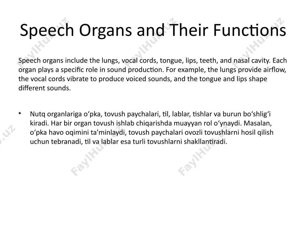 phonetics and phonology presentation - Page 4