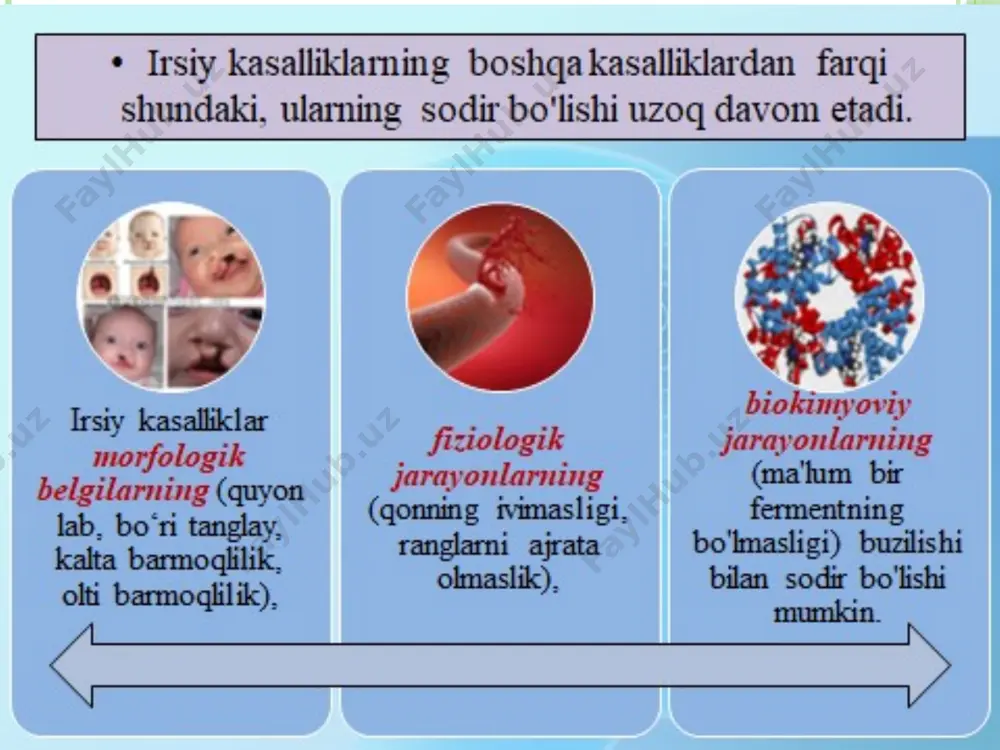 oki ular to'la-to'kis barmoqlar bo'lishi mumkin. ko'pincha, aksessuar barmoqlari deformatsiyalanadi, falanjlar soni kamroq bo'ladi bolada simptomatik polidaktiliya bilan ko'pincha boshqa rivojlanish anomaliyalari qayd etiladi - tug'ma yurak nuqsonlari, oyoq -qo'llarining qisqarishi, quloqchalarning deformatsiyasi va boshqalar. gemofiliya a (klassik gemofiliya) - viii koagulyatsion omil oqsilining tug'ma etishmasligidan kelib chiqqan genetik kasallik. gemofiliyaning eng keng tarqalgan shakli (taxminan 80% hollarda) kasallik x xromosomasida retsessiv mutatsiya bilan bog'liq. erkak va homozigot ayollarda uchraydi gemofiliya har 5000 erkakdan bittasida uchraydi. ulardan 85% a va 15% gemofiliya bilan kasallangan gemofiliya bilan og'rigan bemorlarda har xil darajadagi faol koagulyatsion omil bo'lishi mumkin: faol omilning 1% dan kamrog'i og'ir gemofiliya, 1-5% faol omil-o'rtacha gemofiliya, engil gemofiliya-normaning 5-40% diapazoni. qon ivishining faol omil darajasi gemofiliya b (rojdestvo kasalligi) - ix koagulyatsion omil etishmasligidan kelib chiqadigan irsiy qon kasalligi, uning asosiy namoyonlari takroriy qon ketishdir. gemofiliya b bilan kasallanish 25-30 ming yangi tug'ilgan o'g'illardan biridir. bundan tashqari, gemofiliya b …