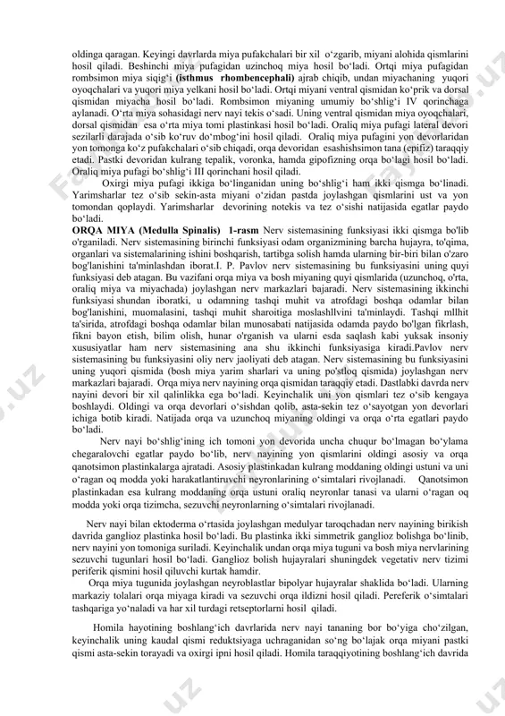osh miya po‘stlog‘i boshchiligida bir-biriga bog‘lanib qilgan faoliyatidan iborat. shuning uchun birorta a’zo faoliyatining o‘zgarishi boshqa a’zolar faoliyatining o‘zgarishiga olib keladi. masalan: jismoniy ish qilgan vaqtda mushaklarda modda almashinuvi kuchayadi va kislorodga talab oshadi. bunga javoban reflektor ravishda o‘pka va yurakning faoliyati kuchayib, mushaklarga qon va kislorodning kelishi ko‘payadi. topografik nuqtai nazardan nerv tizimi markaziy va periferik qismlarga bo‘linadi. markaziy qismiga bosh va orqa miya kirib, ular kulrang va oq moddalardan iborat. kulrang modda nerv hujayralarining to‘plami, oq modda esa nerv o‘simtalaridan tashkil topgan. periferik qismi tarkibiga nerv ildizlari, tugunlari, chigallar va nervlar kiradi. nerv tizimining filogenezi bir hujayrali sodda organizmlarda (amyoba) nerv tizimi bo‘lmaydi. ularda tashqi muhit bilan aloqa organizmning ichi va tashqarisida joylashgan suyuqlik vositasida bo‘ladi (gumoral boshqarish). keyinchalik nerv tizimi hosil bo‘lganidan so‘ng, gumoral boshqarish uning ta’siriga o‘tib, neyro-gumoral boshqarish paydo bo‘ladi. nerv tizimi filogenezda bir nechta bosqichni o‘tadi: i-bosqich to‘rsimon nerv tizimi. bu bosqichda nerv tizimi …