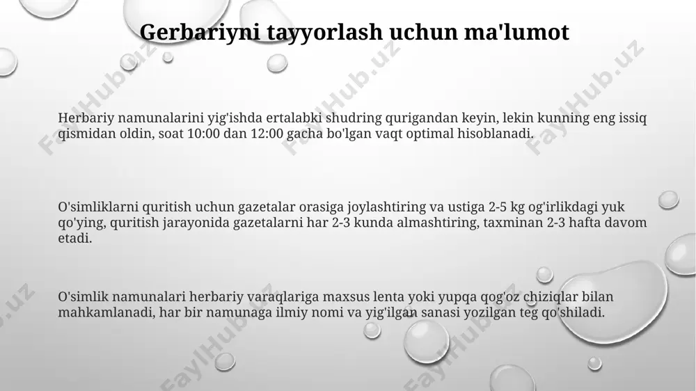 gerbariy tayyorlash va tayyorlash usullari - Page 3