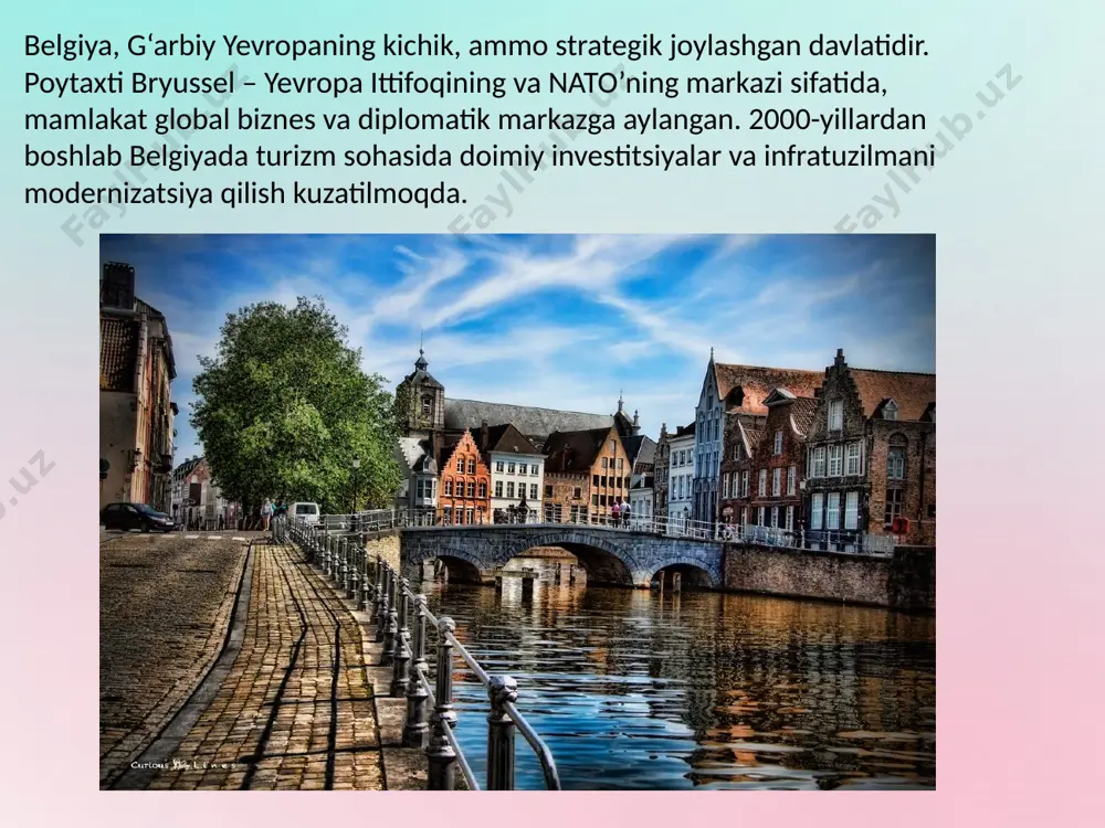 ssel, antverpen) sayyohlarning mamlakatga qulay kirishini ta’minlaydi. 2010–2020 yillarda transport tizimining modernizatsiyasi va raqamli rezervatsiya tizimlarining joriy etilishi sayyohlik oqimini yanada kuchaytirdi. mehmonxonalar va dam olish joylari: belgiyaning yirik shaharlarida yuqori sifatli mehmonxonalar tarmog‘i mavjud bo‘lib, 2018-yilda bryusseldagi mehmonxonalar va dam olish markazlarining investitsion hajmi sezilarli o‘sishga erishdi. raqamli va xizmat ko‘rsatish infratuzilmasi: so‘nggi yillarda onlayn rezervatsiya, virtual sayohat va raqamli xizmatlar joriy etilishi orqali belgiyada turizm sohasida raqobatbardoshlik kuchayib, 2021–2022 yillardagi pandemiyadan keyingi tiklanish davrida sezilarli darajada o‘sish kuzatildi. smart turizm tizimlari va raqamli innovatsiyalar: mamlakatda smart shahar konsepsiyasi doirasida raqamli axborot tizimlari, mobil ilovalar va interaktiv onlayn platformalar joriy etilgan. ular real vaqt rejimida transport jadvali, interaktiv xaritalar va ko‘p tilda ko‘rsatmalar bilan sayyohlar tajribasini yanada qulay va samarali qiladi. barqaror va ekologik infratuzilma: mamlakatda elektr va gibrid transport vositalari keng qo'llanilmoqda. shuningdek, “yashil” sertifikatlash tizimlari va ekologik barqaror turizm loyihalari orqali turizm sohasining atrof-muhitga ta'siri kamaytirilmoqda. e’tiboringiz …
