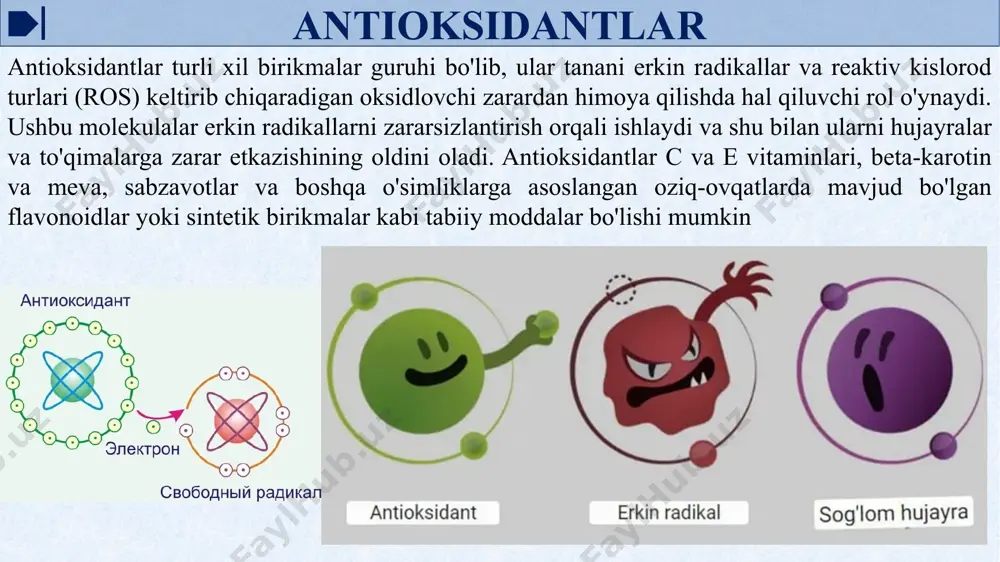 kiradi. sun'iy guruh antioksidantlariga dibunol, fenozanlar, oksipiridinlar kiradi. glutationperoksidaza superoksiddismutaza antioksidantlarning tarixi antioksidantlar tarixi 20-asrning boshlarida, olimlar tirik organizmlardagi oksidlanish jarayonining mexanizmlarini o'rganishni boshlagan paytdan boshlanadi. antioksidantlar tarixidagi asosiy bosqichlarning qisqacha ko'rinishi: 1. erkin radikallarning kashf etilishi: 19-asr oxirida kimyogarlar erkin radikallar, juftlanmagan elektronlar bilan yuqori reaktiv molekulalar tushunchasini kashf etdilar. erkin radikallar turli xil kimyoviy reaktsiyalarda, shu jumladan organizmdagi oksidlanish jarayonlarida ishtirok etishi aniqlandi. 2. vitamin tadqiqotlari: 20-asr boshlarida albert szent-dyordji va norman xovort kabi olimlar iskorbit va beriberi kabi kasalliklarning oldini olishda vitaminlarning rolini o'rganishni boshladilar. szent-györgyi tsitrus mevalaridan s vitamini (askorbin kislotasi) ajratib oldi va keyinchalik uning antioksidant xususiyatlarini aniqladi. antioksidantlarning tarixi 3. vitamin e kashfiyoti: 1920-yillarda tadqiqotchilar gerbert evans va ketrin bishop kalamushlarning oziq-ovqatga bo‘lgan talablarini o‘rganayotganda e vitaminini kashf qilishdi. ular ushbu vitaminning etishmasligi reproduktiv muammolarga va mushaklarning nasliga olib kelishini aniqladilar. keyinchalik, e vitamini antioksidant bo'lib, hujayra membranalarini oksidlovchi shikastlanishdan himoya qilgani ma'lum bo'ldi. …