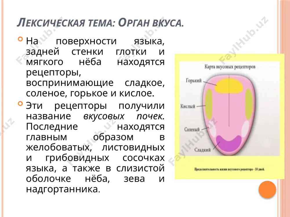 химически активен, поэтому в природе встречается только в химических соединениях. натрий в большом количестве содержится в хлористом натрии и в поваренной соли. на земной поверхности хлористый натрий находится в громадных залежах каменной соли. в растворённом виде натрий содержится в морской воде, в солёных озерах, во многих минеральных источниках. в свободном виде натрий получают в химических лабораториях путём электролиза хлористого натрия. свойства металлов у натрия выражаются в его металлическом блеске, в высокой теплопроводности и электропроводности, в его пластичности. на воздухе блестящая поверхность натрия тускнеет, поэтому его хранят в запаянных железных сосудах, иногда в керосине. в соединениях с кислородом натрий содержится в окиси натрия и в перекиси натрия. в концентрированной соляной кислоте, образующийся хлористый натрий выпадает в виде осадка, так как он не растворим в ней. вопросы к тексту 1. в каких соединениях встречается натрий в природе? 2. где содержится натрий в большом количестве? 3. в чём находится хлористый натрий на земной …