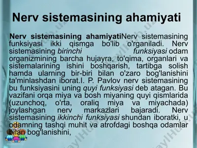 nerv sistemasining ahamiyati — PPTX