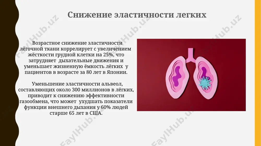 возрастные особенности органов дыхания - Page 5