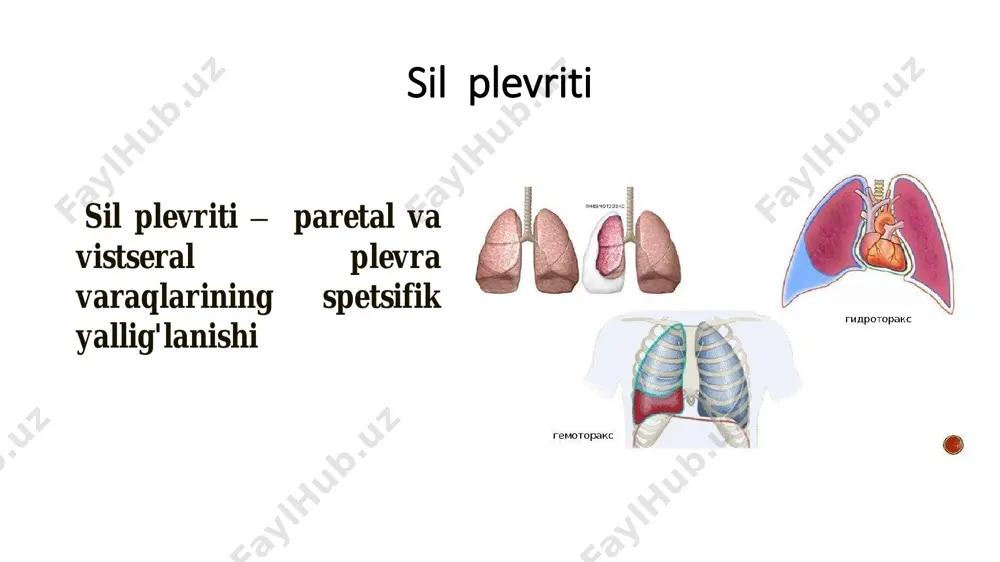 sil plevriti - Page 3