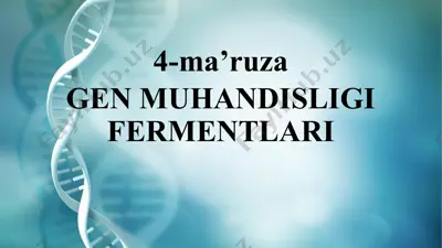 gen muhandisligi fermentlari — PPTX