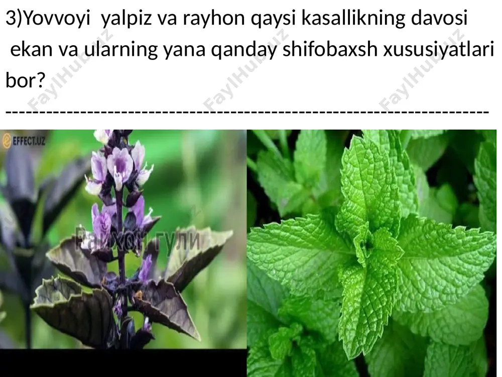 bahoraning "donishmand ustoz" matni tahlili - Page 5