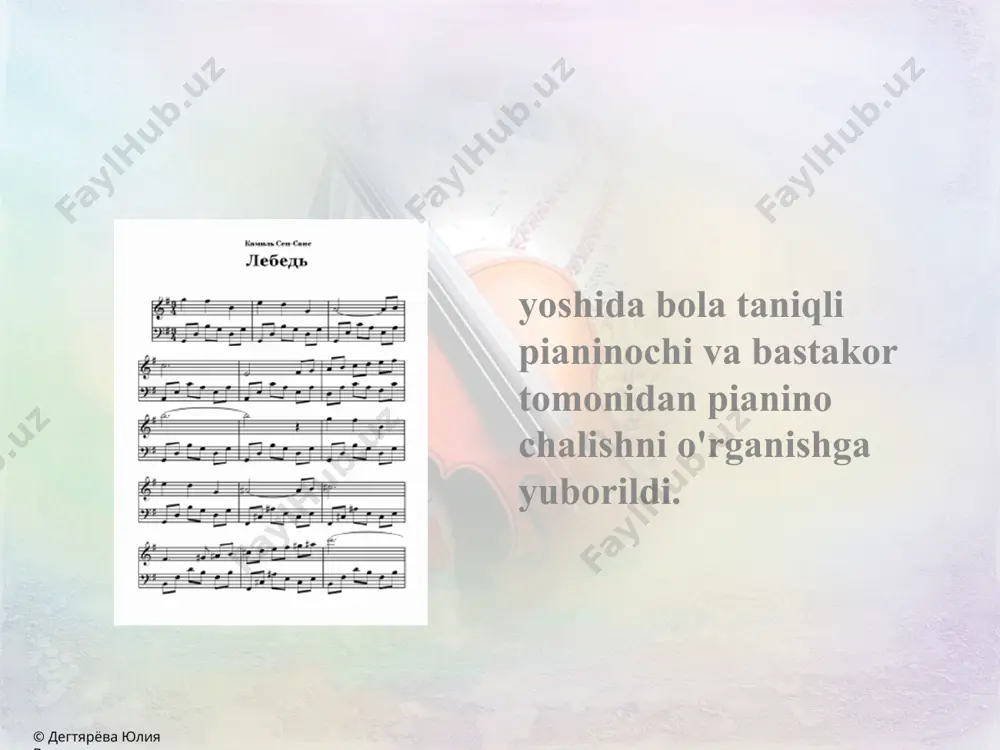 sen-sans kamil ppt slayd - Page 5