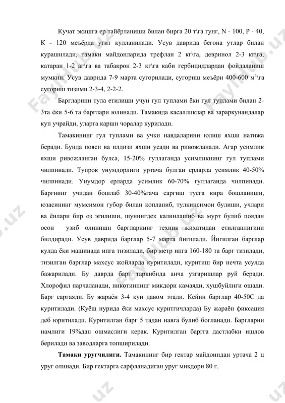 и билан 10-15 см узунликда кесилади. 40-50 таси бирлаштирилиб богланади, осилади. сояда тагига брезент ёйилади, тула куригандан кейин янчилади. 8-10 кг хажмдаги сурпдан тикилган халтачаларда сакланади, намлиги 10% дан ошмаслиги керак. тамаки 200 с да 60-65% намликда сакланади. адабиётлар: 1. х.атабаева, з.умаров, х.буриев ва бош.-усимликшунослик-т.мехнат, 2000 2. п.п.вавилов- растениеводство м .,колос .1986. 3. в.н.чирков –усимликшунослик \практикум т.,укитувчи. 1976. 4. б. виноградов, х.атабаева, а.дементьева –растениеводствот, мехнат1987. 5. в.н. чирков –дон экинлари т., укитувчи 1975 6. технические культуры м.,во агропромиздат,1986 7. к.н. кеферов биологические основы растениводство, м.,высшая школа , 1975. 8. д.зауров, м. сборшикова, рисоводство , т.,мехнат ,1989 9. д.т.абдукаримов, с.х. хушвактов, э.у.умурзоков, тамакичилик , т.,мехнат,1985 10. н.и. вавилов .пять континентов , л., наука,1987 11. х.н.атабаева-технология возделывания сои в узбекистане-т.1989 12. г. к., курбонов –арпа – т . фан .1976 13. технологическия произфодства продукции растениводства м.,во агропромиздат ,1989