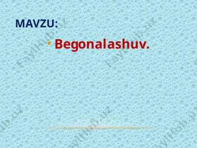 begonalashuv — PPTX