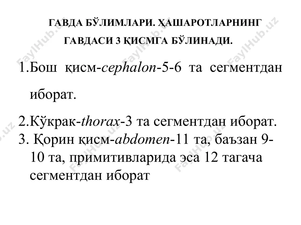 нғизлар. 6. қамровчи оёқлар қамрашга мослашган бўлиб, сон ва болдири чўзинчоқ, улар хитинли тишлар ва игначалар билан қопланган. масалан, бешиктерватар. 7. ёпишувчи оёқлар баъзи бир эркак сув қўнғизларининг олдинги оёқларидаги бармоқларининг биринчи бўғими кенгайган, япроқ шаклидаги ёпишиш органига айланган. 8. йиғувчи оёқларда болдир ва биринчи бармоқ бўғини кенгайган бўлиб, ташқи юзасида махсус халтача ёки чуқурча ҳосил бўлган. бу чуқурчадаги гул чангини йиғади. масалан, асалари. эътиборингиз учун раҳмат