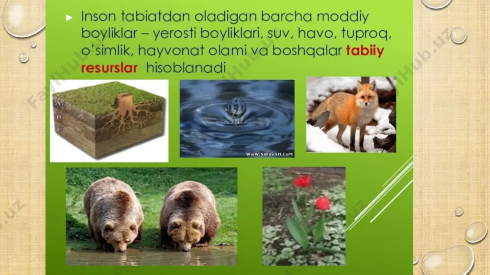 markaziy osiyoning tabiiy sharoiti va tabiiy resurslari - Page 2