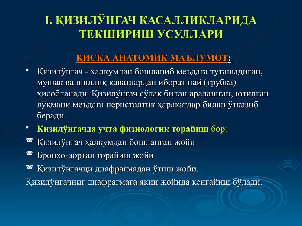 идаги қизилўнгач пастки учи билан 12 бармоқ ичакнинг бошланиш қисми ўртасидаги туташтирувчи жой ҳисобланиб, шиллиқ ва мушак қаватлари яхши ривожланган, ичи бўш аъзо. физиологик холатларда меъда ичида бироз ҳаво пуфаги ва 50-150 мл шира бўлади. меъданинг фундал қисми, танаси ва дистал чиқиш – пилорик қисми фарқланади. меъдада ейилган овқатнинг сўлак ва меъда шираси таъсирида ҳазм бўлиш жараёни бошланади. меъданинг катта эгирлиги киндикдан 2-3см юқорида жойлашади. ошқозоннинг амалиётда кўпроқ учрайдиган касалликлари: ошқозоннинг сурункали яллиғланиши (сурункали гастритлар а, в, с) ошқозон яраси ошқозон саратони ошқозон пилорис қисми спазми, стенози ва бошқалар. ошқозоннинг стандарт текшириш усуллари сўраб-суриштириш (шикоятлари, анамнез йиғиш) кўздан кечириш пайпаслаш (эпигастрал соҳани юза ва чуқур палйпаслаш) лаборатор текшириш (меъда ширасини текшириш) асбоблар билан (инструментал) текшириш (рентгенологик ва эндоскопик) 1. ошқозон касалликларига хос шикоятлар: иштаҳа бузилиши (пасайиши, йўқолиши, ошиши, айниши) таъм сезишнинг бузилиши эпигастрияда оғриқ диспептик шикоятлар (кўнгил айниши, қусиш, кекириш, жиғилдон қайнаши, овқатлангандансўнг эпигастрал соҳада ўта тўлашиш ҳисси) қусиш овқатдан …