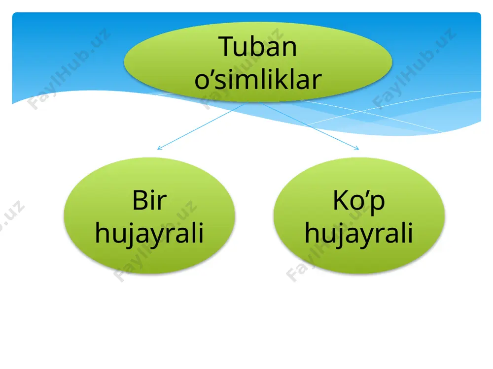 tuban o’simliklar - Page 2