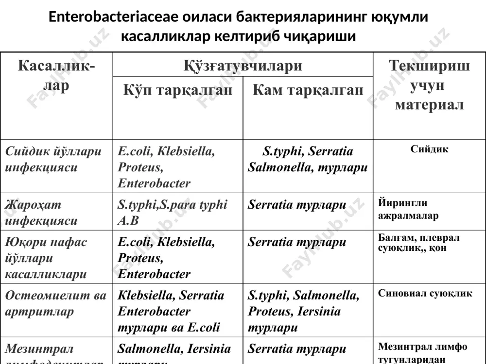 sit sindromlari kuzatiladi. iersiniozlarni diferentsial belgilari belgi va xususiyatlari i. restis i. rseudotuberculosis i. enterocolitica harakatchanligi − + + indol hosil qilishi − − ± atseton hosil qilishi − − ± simmons tsitrati − − − ureaza aktivligi − + + ornitin dekorbaksilaza − − + melibiozani parchalashi ± + − ramnoza parchalashi − + − rafinoza parchalashi − ± − mukatni parchalashi − − − saxaroza parchalashi − − + sorbit parchalashi − − + i.enterocolitica eritrotsitar diagnostikumi bilan bgar qo'yish rasm . foges-poskauera reaktsiyasi i. enterocolitica kulturasi bilan. 37ºs da (chapda) ma'nfiy va 25ºs da o'sganda (o'ngda) musbat. klebsiella avlodi birinchi marotaba 1875 y. klebs ajratib olgan. bularga kiradi: kl. pneumoniae kl. ozenae kl. rhinoscleromatis klebsiellalar xususiyatlari morfologiyasi fiziologiyasi, bioximiyasi, ag. oxirgi yillarda faqat nafas yo'llarini emas ois ni ham jarohatlashi ma'lum bo'ldi. ko'proq xollarda kasalxona ichida tarqaluvchi yuqumli kasalliklarni keltirib chiqarmokda. kl. pneumonia o'pka va bronxlarni yallig'lanishi …
