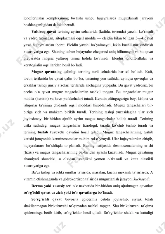 masalan, kuchli mexanik ta’sirlarda, a vitamin etishmaganda va gidrokortizon ta’sirida muguzlanish jarayoni kuchayadi. derma yoki xususiy teri o`z navbatida bir-biridan aniq ajralmagan qavatlar: so`rg`ichli qavat va zich yoki to`r qavatlarga bo`linadi. so`rg`ichli qavat bevosita epidermis ostida joylashib, siyrak tolali shakllanmagan biriktiruvchi to`qimadan tashkil topgan. shu biriktiruvchi to`qima epidermisga botib kirib, so`rg`ichlar hosil qiladi. so`rg`ichlar shakli va kattaligi terining turli zonalarida har xil bo`ladi. terining so`rg`ichli qavati barmoqlar terisi sathida har bir shaxsga xos bo`lgan individual ko`rinishlarni belgilab beradi. terining bu ko`rinishi har bir odamning o`ziga xos bo`lganligidan sud tibbiyotida va kriminalistika amaliyotida barmoq izlariga qarab shaxsni aniqlashda — daktiloskopiyada keng qo`llaniladi. so`rg`ichli qavatda kollagen, elastik va retikulin tolalar bilan birga fibroblast, makrofag, melanofor, plazmatik va semiz hujayralar mavjuddir. bu erda mushak hujayralarining alohida tutamlari uchraydi. bu mushaklarning ayrimlari sochni tiklovchi mushak bo`lib, ular soch ildizi bilan uzviy bog`liqdir. dermaning so`rg`ich qavatida qon, limfa tomirlari, nerv tolalari va erkin, hamda kapsulali …
