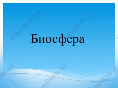 biosfera — PPTX