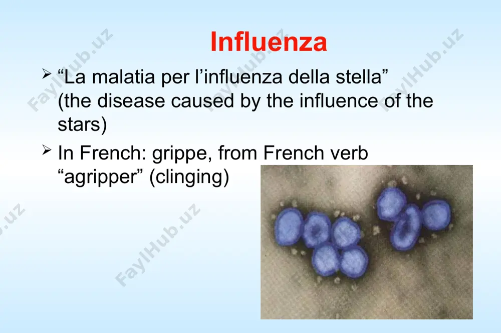 rna total genome length is 13588 nt the largest segment 2341 nt infect much man and birds. cause human disease but generally not as severe as a types. believed to be epidemiologically important - reassortment with type a leads to epidemics. influenzavirus c virions enveloped many spikes nucleocapsid enclosed within lipoprotein membrane virions contain 7 segments of linear negative-sense single stranded rna total genome length is 12900 nt glycoprotein -hemagglutinin esterase fusion (hef) esterase -> receptor destroying enzyme antigen soluble antigens: include ribonucleoprotein and m protein which are much stable in antigenicity. surface antigens: include ha and na which are much variable in antigenicity. influenza viruses are divided into 3 groups determined by the ribonucleoprotein (rnp) antigen and m antigen type a ++++ yes yes yes shift, drift yes sensitive sensitive 2 severity of illness animal reservoir human pandemics human epidemics antigenic changes segmented genome amantadine, rimantidine zanamivir surface glycoproteins …