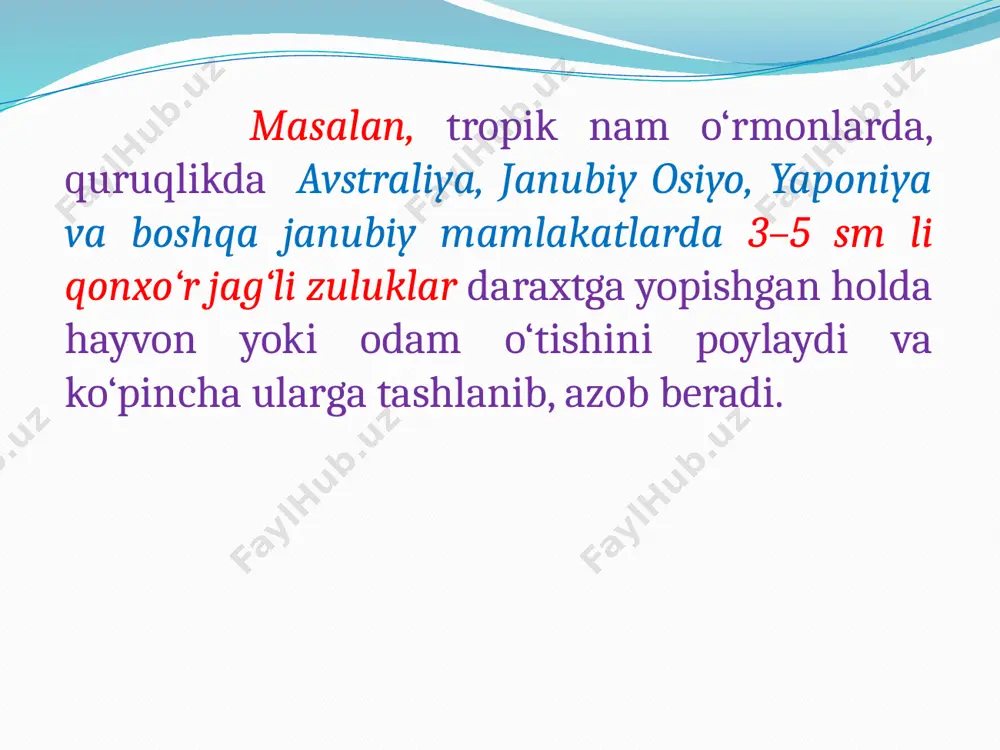 ozuqa manbai-baqalar va sutemizuvchilardan qoramollar hisoblanadi. tabiatda tibbiyot zulugi uchinchi yili jinsiy voyaga yetadi va bir yilda bir marta yoz oylarida pilla qo‘yadi. laboratoriya sharoitida esa jinsiy voyaga yetgan zuluklarning 12-18 oy ichida o‘stirish mumkin va ular yilning turli fasllarida har 6-8 oy ichida pilla qo‘yishi mumkin. tibbiyot zulugining pillasida 15 tadan 30 tagacha tuxum bo‘ladi. bitta tibbiyot zulugi 10 sm3 qon so‘rishi va shundan so‘ng 1,5-2 yil ovqatlanmay yashashi mumkin. jag‘li zuluklarga tibbiyot zulugidan tashqari soxta ot zulugi (haemopis sanguisuga) ham kiradi . uning jag‘lari kuchsiz rivojlangan. soxta ot zulugi odam va sutemizuvchilarning terisini tishlay olmaydi. u yirtqichlik bilan hayot kechirib, asosan chuvalchanglar, mollyuskalar, itbaliqlar bilan ovqatlanadi. jag‘li zuluklarga nil zulugi yoki ot zulugi (limnatis nilotica) ham kiradi. bu zararli zuluk afrikada, janubi sharqiy yevropada, markaziy osiyo va kavkazda ko‘p tarqalgan. shu avlod zuluklaridan-limnatis turkestanica turi markaziy osiyoda (ashxobod, samarqand va toshkent atrofida) uchraydi. bu zuluklar ot yoki mollar …