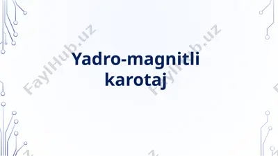yadro-magnitli karotaj — PPTX