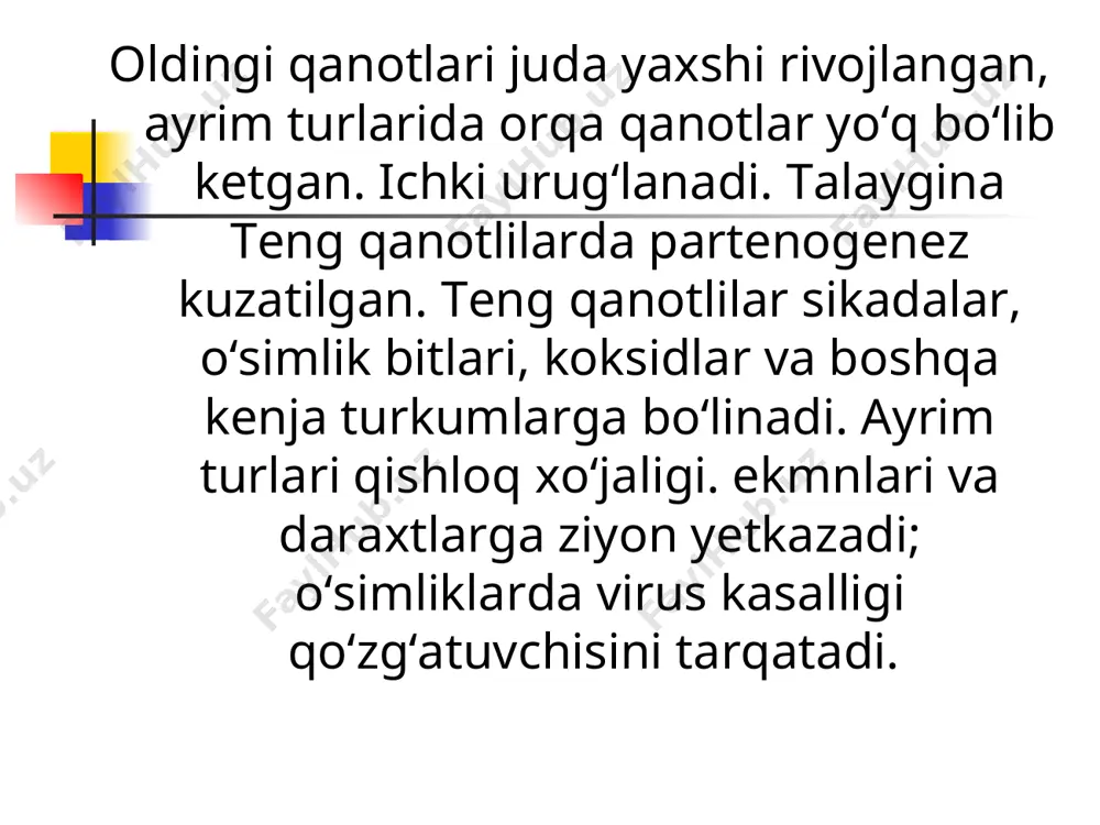 teng qanotlilar turkumi tafsiloti - Page 5