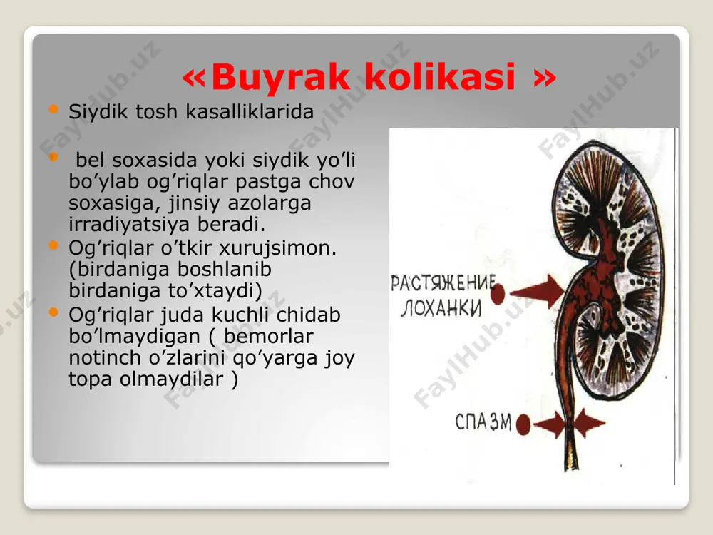 sekinlik bilan nefrotik sindrom og’ir holatlarda anasarkning tipi bo’yicha ifodalangan va tarqalgan shish bo’yicha. выраженные и распространенные отеки, в тяжелых случаях по типу анасарки proteinuriya ifodalanishi (3 g/sut ko’p); gipoproteinemiya (umumiy oqsil 60g/l dan kam); giperlipedemiya glomerulonefritda, sistemali kasalliklarda, sistemali dermatomiozitda, virusli gepatitlarda, buyraklarni dorili shikastida uchraydi. nefrotik sindrom shish yuqori ab proteinuriya (2 г/сут) gematuriya (mikro-, makro-) uremik sindorm umumiy intoksikatsiya: xotira va uyquni buzulishi, charchash, apatiya urimik bronxit, alveolit: nafas chiqarganda uremik hid, quruq yo’tal, hansirash uremik kolit, gastrit:ko’ngil aynish qusish,ich ketish teri qichishishi, terida mochevina kristallari yeg’ilishi uremik perikardit eklampsiya bosh miya shishi va miyaichi bosimi oshishi natijasida yuzaga keladi yuzaga kelish sharoiti- ab oshishi, massiv shishlar. klinika:so’lg’inlik,uyquchanlik, bosh og’rig’i, qayt qilish, korish otkirligini yoqotish, nutqning buzilishi, tirishishlar, es xushni yo’qotish. image2.jpeg image3.png image4.jpeg /docprops/thumbnail.jpeg
