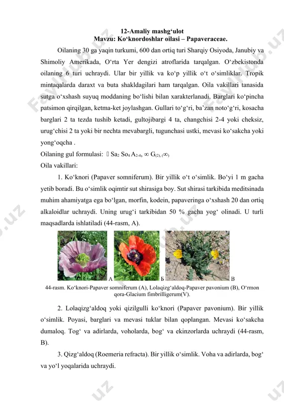 chinnigulkabilar (chinnigulsimonlar) sinfchasi - Page 4