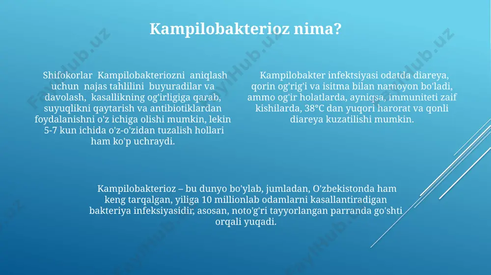 kampilobakterioz - Page 4