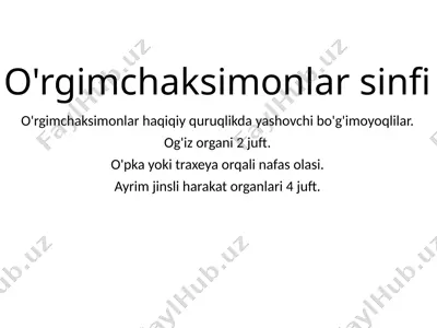 o'rgimchaksimonlar sinfi — PPTX