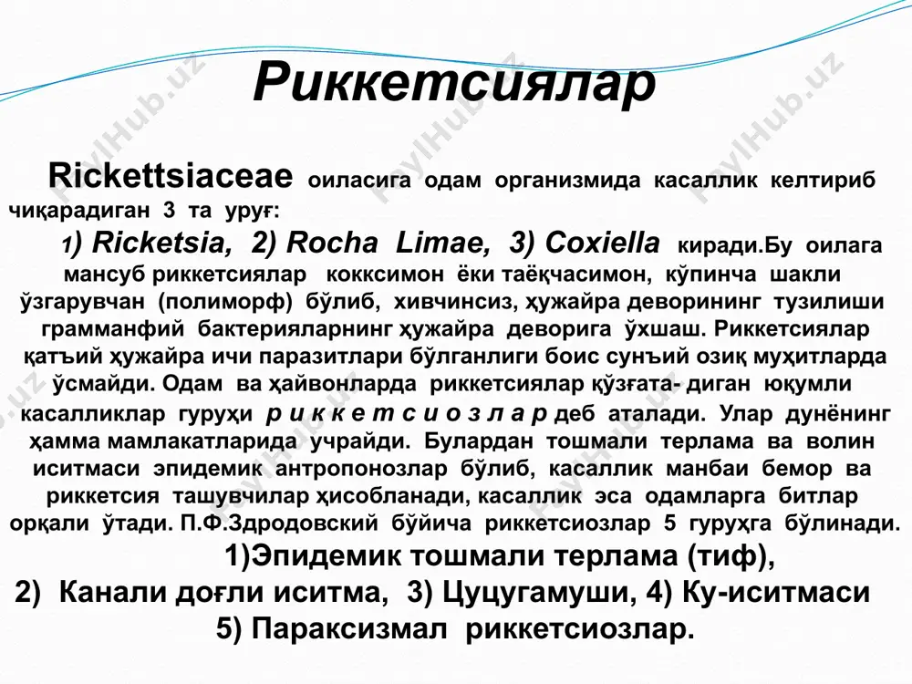 чида яшайдиган, бактериясимон, ҳаракатсиз, грамманфий, шакли ўзгарувчан микроорганизмлар бўлиб, унинг кокксимон, таёқчасимон, бацилляр ва ипсимон шакллари мавжуд. уларнинг ўлчами ўртача 0,2–40 мкм, кенглиги 0,3–0,6 мкм (слайда). электрон микроскоп остида провачек риккетсияларида микрокапсула, ҳужайра девори ва цитоплазматик мембрана борлиги аниқланган. спора ҳосил қилмайди. п.ф.здродовский усули қўлланилганда тиниқ қизил рангга бўялади morfolagiyasi. o’sishi лаборатория шароитида риккетсиялар зарарланган битлар меъдасида (роха-лима усули), интраназал зарарланган кемирувчилар, айниқса оқ сичқонлар ўп касида (дюран ва спарроу усули) ва то вуқ эмбрионинингсариқли қопчасида (кокс усули) яхши кўпаяди.нафас олиш- ига кўра риккетсиялар – аэроб. глютамат кислотасини фаол оксидлайди.уни оксид лаб, аденозин (ii)-фосфатни аденозин (iii)-фосфатга айлантиради,уэс аэнергия-манбаи ҳисобланади. . toksin xosil qilishi провачек риккетси- ялари танаси билан боғлиқ ўлган махсус заҳар моддалар ажратади. улар организмда хақиқий заҳарларга (экзотоксинлар)га ўхшаш нейтрал- ловчи антителолар ҳосил қилади. риккетсиялар токсинлари ташқи му- ҳит омиллари тасирига жудa сезгир бўлиб,600 да фаоллиги йўқолади. провачек риккетсиялари,заҳарли хусусиятларидан ташқари,ўзида тирик микроорганизм билан боғлиқ бўлган ва эмлашдан сўнг …