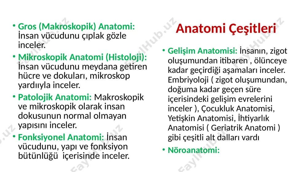 afta bulunan boşluklar (ventral boşluklar) a-cavitas thoracis (göğüs boşluğu) b-cavitas abdominis (karın boşluğu) c-cavitas pelvis (pelvis boşluğu) 2-arka tarafta bulunan boşluklar (dorsal boşluklar) a-cavitas cranii (kafatası boşluğu) b-cavitas spinalis (spinal boşluk) auris (kulak) nasus (burun) pectoral bölge abdominal bölge brachium (kol) antebrachium (ön kol) manus (el) umbilicus femur (uyluk) bacak (crus) pes (ayak) collum (cervix=boyun) orbita (göz çukuru) linea mediana linea lateralis linea medialis distal proximal superior i̇nferior posterior (dorsal) anterior (ventral) palmar dorsal plantar dorsal anatomik terimler i̇nternus. i̇ç externus: dış cranialis: kafaya ait caudalis: kuyruğa ait rostral: buruna doğru medialis. i̇ç lateralis: dış superficialis: yüzeysel profundus: derin centralis: merkezi periferalis: çevresel apicalis: tepe basalis: taban anterior : ön posterior: arka ventralis: karın tarafı dorsalis: sırt tarafı palmar: avuç içine ait plantar. ayak tabanına ait dexter: sağ sinister: sol proximalis: gövdeye yakın distalis: gövdeye uzak superior:üst, yukarı i̇nferior: alt, aşağı apex: tepe vertikal: dikey horizontal: yatay sagittal: önden arkaya …