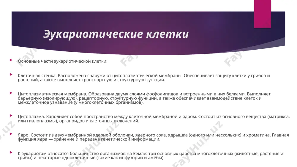 асти клетки — нуклеоиде, который не отделён мембраной от остальной цитоплазмы). она связана с белками-гистонами и другими белками хромосом, которых нет у бактерий. в жизненном цикле эукариот обычно присутствуют две ядерные фазы (гаплофаза и диплофаза). первая фаза характеризуется гаплоидным (одинарным) набором хромосом, далее, сливаясь, две гаплоидные клетки (или два ядра) образуют диплоидную клетку (ядро), содержащую двойной (диплоидный) набор хромосом. иногда при следующем делении, а чаще спустя несколько делений клетка вновь становится гаплоидной. такой жизненный цикл и в целом диплоидность для прокариот не характерны. спасибо за просмотр image1.jpeg image2.png image3.png image4.png image5.png /docprops/thumbnail.jpeg