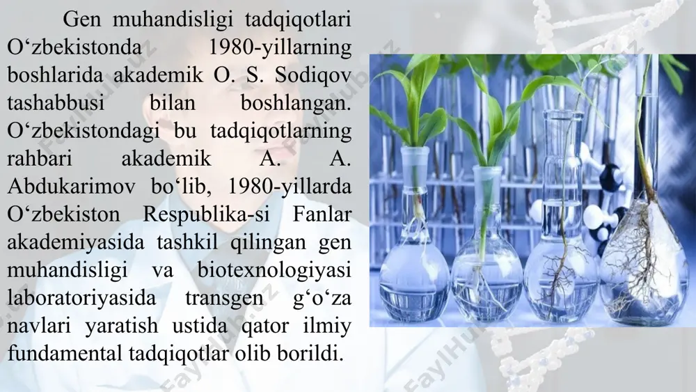 ilayotgan laboratoriya olimlari gen va hujayra muhandisligi usullarini qo‘llab, xalqimizda «sariq kasallik» deb ataluvchi jigar uchun xavfli bo‘lgan gepatit b xastaligini tashxis qilish va bu xastalikning oldini olish uchun zarur vaksina yaratish bo‘yicha ilmiy loyihalarni muvaffaqiyatli yakunladilar. o‘zbekistonda gen muhandisligi va biotexnologiya fani yutuqlari biologiya fanlari doktori r. s. muhamedov, yetakchi ilmiy xodim b. irisboyevlar rahbarlik qilayotgan ilmiy guruh pcr texnologiyasini qo‘llab, o‘nlab xavfli yuqumli va irsiy kasalliklarning gen muhandisligi tashxisi biotexnologiyasini keng tatbiq qilishdi. o‘zbekistonda gen muhandisligi va biotexnologiya fani yutuqlari respublika kardiomarkazi bilan hamkorlikda kardiomiopatiya kasalligining irsiylanish qonuniyatlari o‘rganilmoqda (b. irisboyev, g. hamidullayeva). adliya vazirligining sud tibbiyoti ekspertizasi instituti «geninmar» markazi bilan hamkorlikda gen daktiloskopiya (gen daktiloskopiya – genning dnk izchilligi va genlar spektriga binoan noma’lum shaxsni aniqlash) usulini tatbiq etdilar va yanada takomillashtirdilar (r. s. muhamedov va a. ikromov). professor o. t. odilova tuproq va yerosti suvlarida to‘planib qolgan pestitsid qoldiqlarini parchalab zararsizlantiruvchi pseudomonas bakteriyasi shtammidan shu …