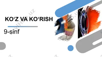ko‘z va ko‘rish — PPTX