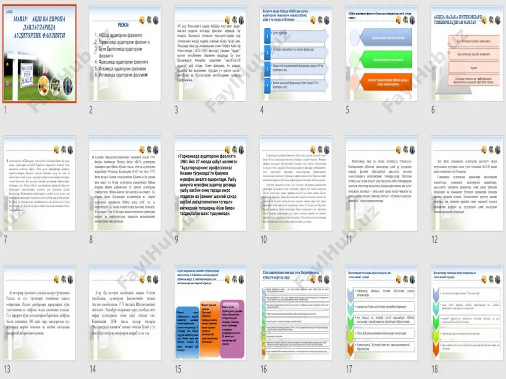 ақш ва европа davlatlarida auditorlik faoliyati - Page 3