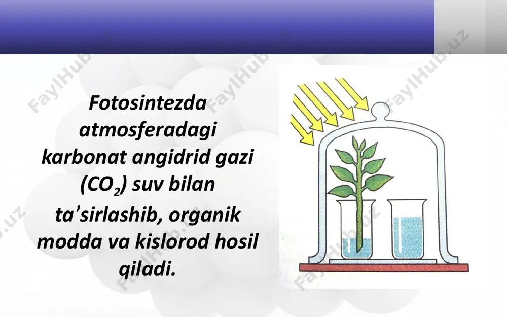 kislorodning tabiatda aylanishi. havo va uning tarkibi. havoni ifloslanishdan saqlash. - Page 5