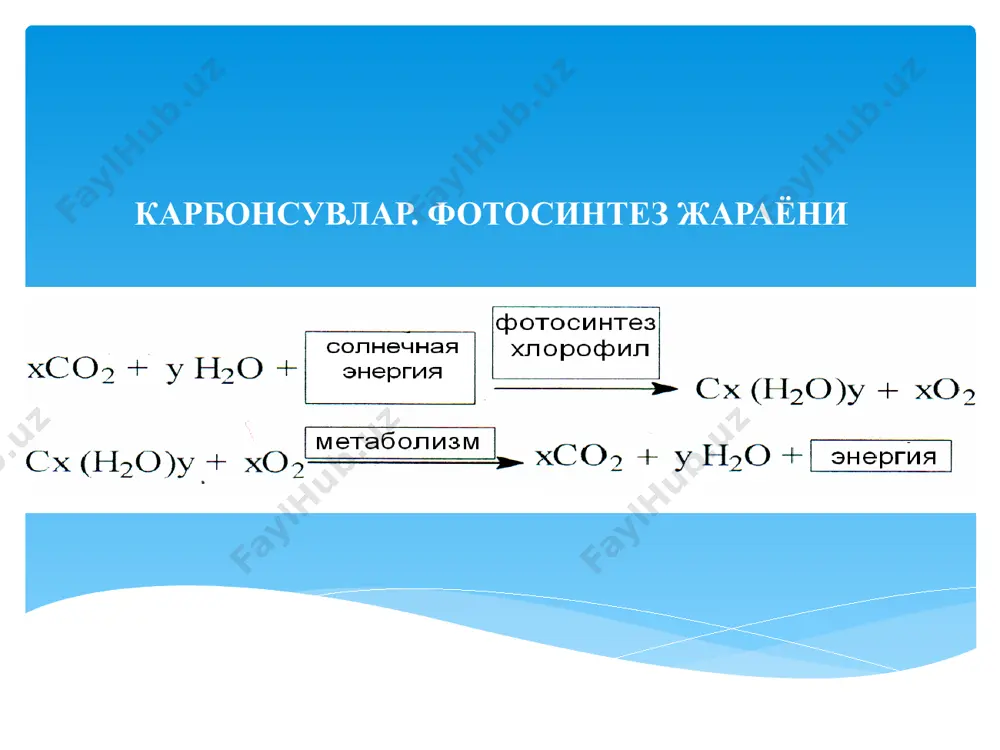 углеводлар - Page 3