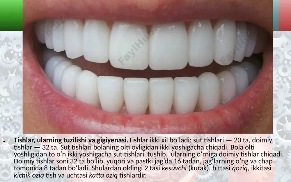 i ovqat hazm bo‘lishida ishtirok etadi. ichak shilliq qavatida vorsinkalar bor. ular juda murakkab tuzilishga ega bo‘lib, qon va limfa tomirlari bilan yaxshi ta’minlangan. ichak shilliq qavatining 1 mm sathida 30—40 ta, ichakning butun yuzasida esa 4 millionga yaqin vorsinka bo‘ladi (45-rasm). vorsinkalar ovqat moddalarini ichak devorida hazm bo‘lishini ta’minlaydi. buni akademik a.i. ugolev aniqlagan. parchalangan ovqat vorsinkalar orqali qon va limfa tomirlariga so‘riladi. yo‘g‘on ichak ingichka ichakning davomi bo‘lib, uning uzunligi katta odamda o‘rtacha 1,5 m. u qorin bo‘shlig‘ida ingichka ichakning atrofini o‘rab turadi. yo‘g‘on ichak quyidagi qismlarga bo‘linadi: 1) ko‘richak va uning chuvalchangsimon o‘simtasi (appendiks); 2) ko‘tariluvchi chambar ichak; 3) ko‘ndalang chambar ichak; 4) tushuvchi chambar ichak; 5) sigmasimon ichak; 6) to‘g‘ri ichak. yo‘g‘on ichak shilliq pardasida vorsinkalar bo‘lmaydi. yo‘g‘on ichakda, asosan, suv, mineral tuzlar so‘riladi. bu yerda ovqat qoldig‘i quyilib, najas sifatida to‘g‘ri ichak orqali tashqariga chiqariladi. savol va topshiriqlar ovqat hazm qilish sistemasiga qaysi organlar kiradi? …