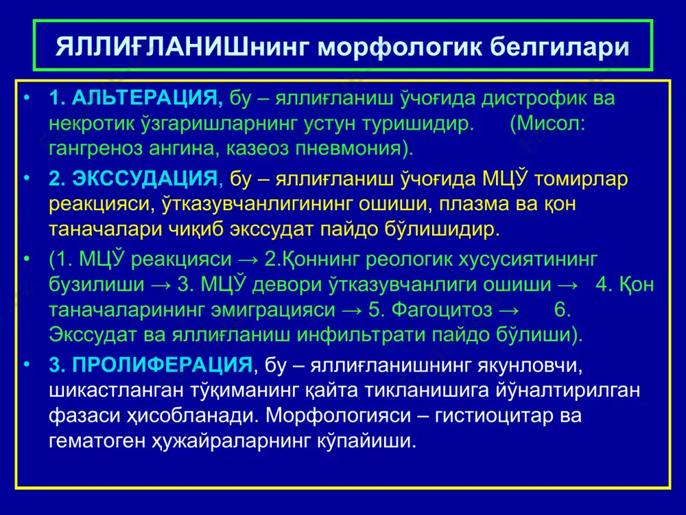 рик хужайралар / микулич хужайралари/ пайдо булади.