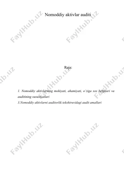 nomoddiy aktivlar auditi — DOC