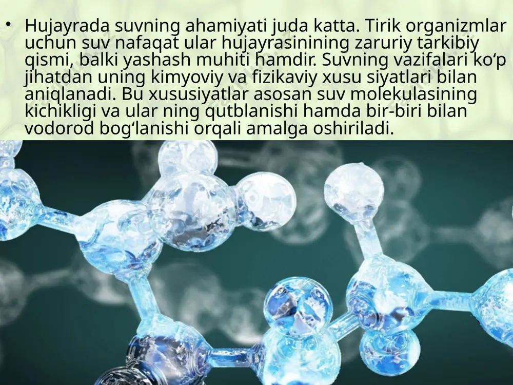 hujayrada suvning ahamiyati - Page 3