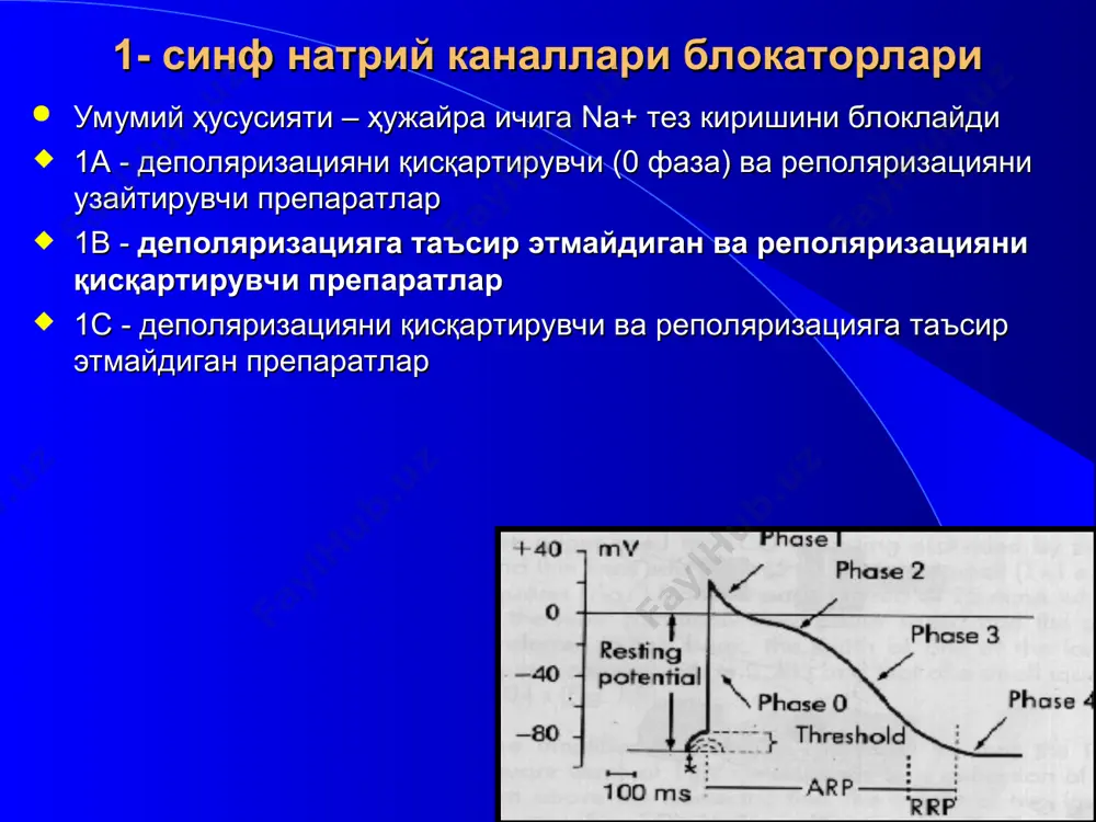 сусайтиради - ҳаракат потенциалининг 0-фазасини секинлаштиради реполяризацияни узайтиради қўллашга кўрсатмалар: • синусли тахикардия, айниқса психоэмоционал стресс фонида • қоринча усти пароксизмал тахикардияси • тиреотоксикоздаги аритмиялар • қоринчалар тахикардиси, айниқса миокард инфаркти ўтказган беморларда ёки дилатацион кардиомиопатияда • қоринча усти ва қоринча экстрасистолияси • хилпилловчи аритмиянинг доимий турида юқсни назорат қилиш учун • миокард инфаркти ўтказган беморларда қоринчалар фибриляцияси профилактикаси учун • qt интервалнинг туғма узайиши. асосий ножўя таъсирлари: юқс камайиши; атриовентрикуляр ўтказувчанликни сусайиши; бронхлар тонуси ошиши; периферик томирлар тонуси ошиши; глюкозага толерантликни пасайиши. 3 - синф калий каналлари блокаторлари бу гуруҳ препаратлари реполяризацияни секинлаштириб ҳаракат потенциали давомийлигини оширади антиадренергик ҳусусиятга эга ва мембранининг ионлар учун ўтказувчанлигига таъсир этмайди эрд давомийлигини узайтиради * амиодарон амиодарон (кордарон) калий каналларини блоклайди ва юрак ўтказучи тизимида реполяризация жараёнларини секинлаштиради. бунинг натижасида ҳаракат потенциалининг давомийлиги ошади, ва эффектив рефрактер давр узаяди . бундан ташқари амиодарон натрий ва кальций каналларини қисман блоклайди, ноконкурент b-адреноблокловчи хусусиятга эга. …