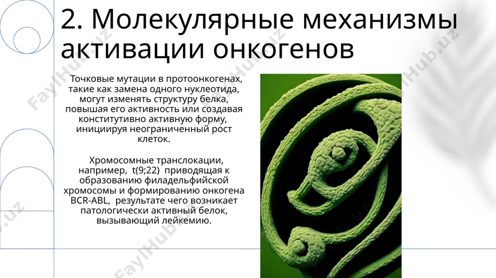 kantserogenez i znachenie kletochnix onkogenov - Page 4